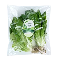 生菜